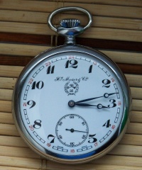 Moser Górnik 25 PW