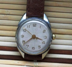 Wołna Górnik 25 PW