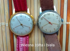 2 x Wiesna
