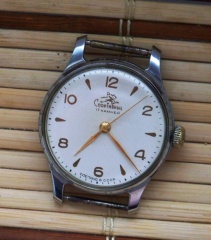 Sportiwnyj Płotkarz