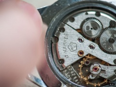 Błonex 17rubis P6018017 800x600