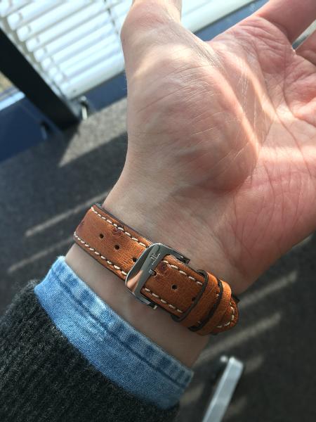 post-100816-0-26039500-1548343370_thumb.jpg
