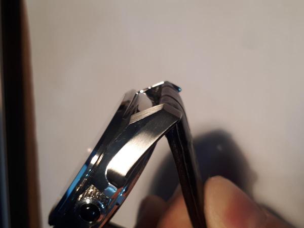 20190417_233025.jpg
