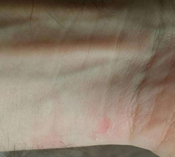 post-74352-0-23784000-1477467992_thumb.jpg