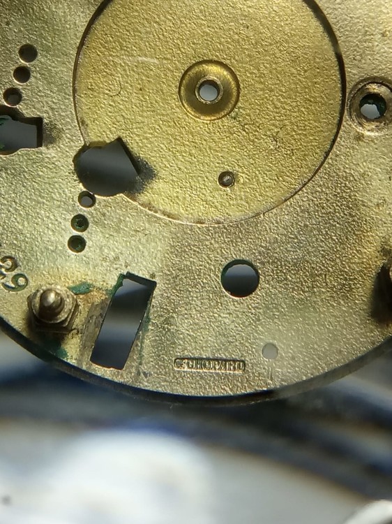 WhatsApp Image 2020-04-29 at 18.04.52.jpeg