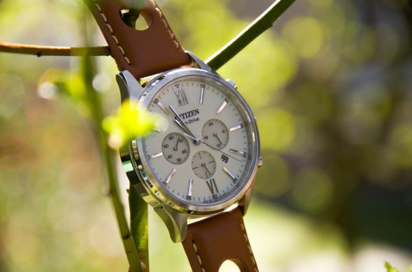 wiosenne ładowanie baterii