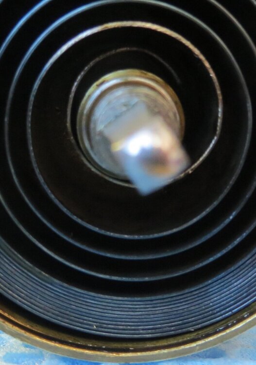 IMG_7099-crop (Copy).JPG