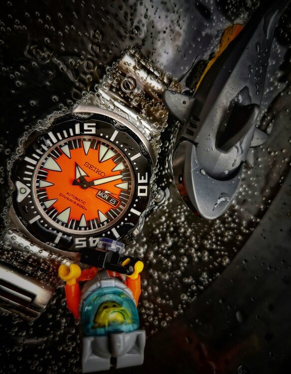 ostateczna fotka lysolek007 konkurs kolorowa tarcza .jpg