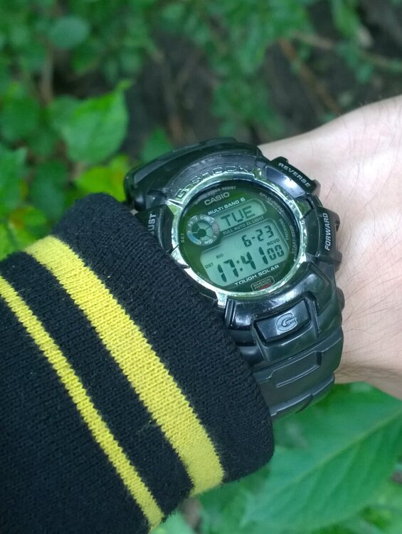GW2310_02.thumb.jpg.8e797d2193126bf4f14262458a49d5e4.jpg