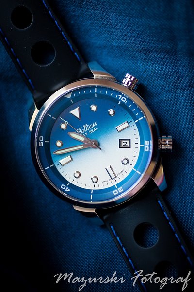 Balticus Grey Seal 2 blue 2.jpg