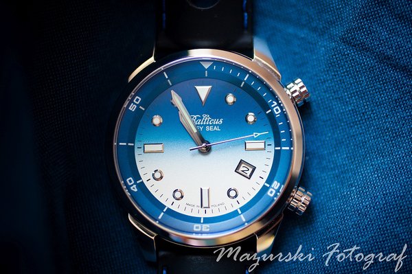 Balticus Grey Seal 2 blue.jpg