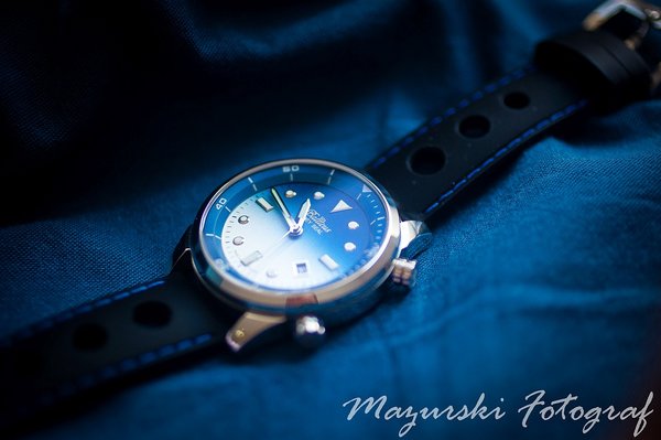 Balticus Grey Seal 2 blue 3.jpg