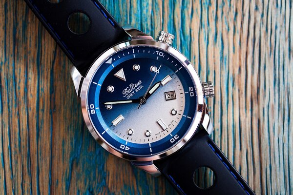 Balticus Grey Seal 2 blue 4.jpg