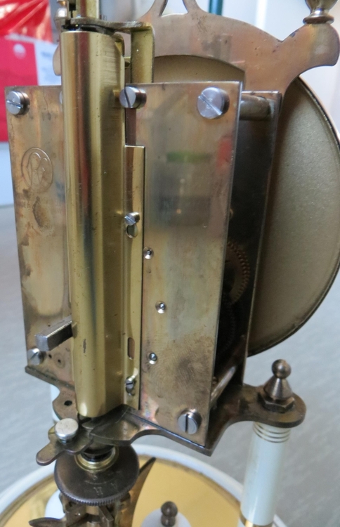 IMG_7384-crop (Copy).JPG