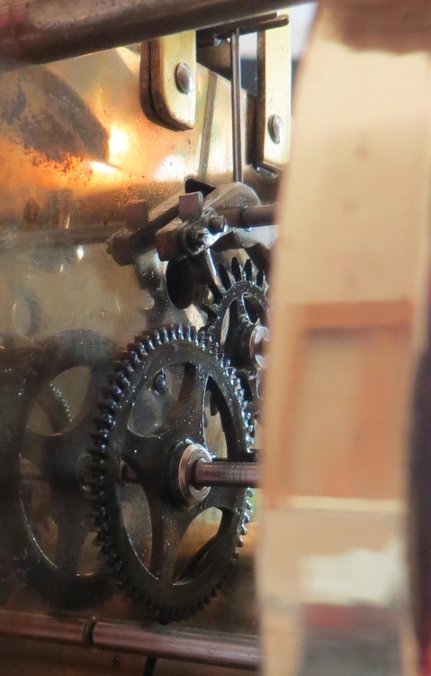 IMG_7389-crop (Copy).JPG