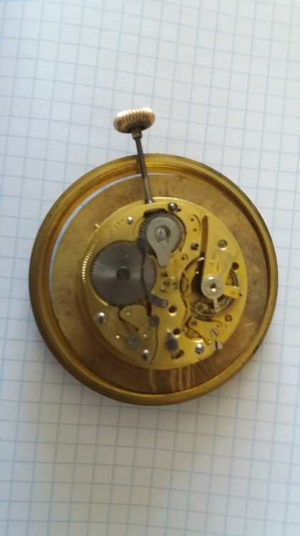 20200812_103739 — kopia.jpg