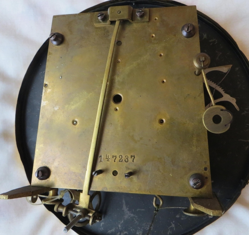 IMG_7447-crop (Copy).JPG