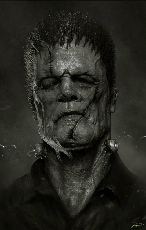 592ea287475772d142f7522ea38afc19--art-frankenstein-mary-shelley-frankenstein.jpg
