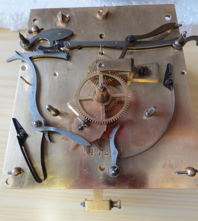 IMG_7674-crop (Copy).JPG