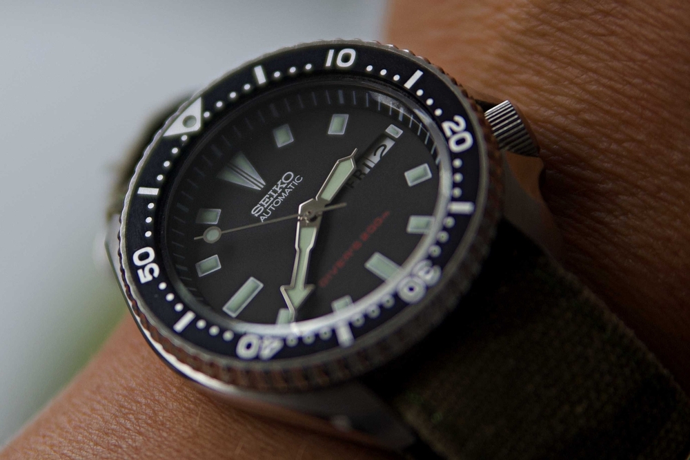 skx173-2.jpg