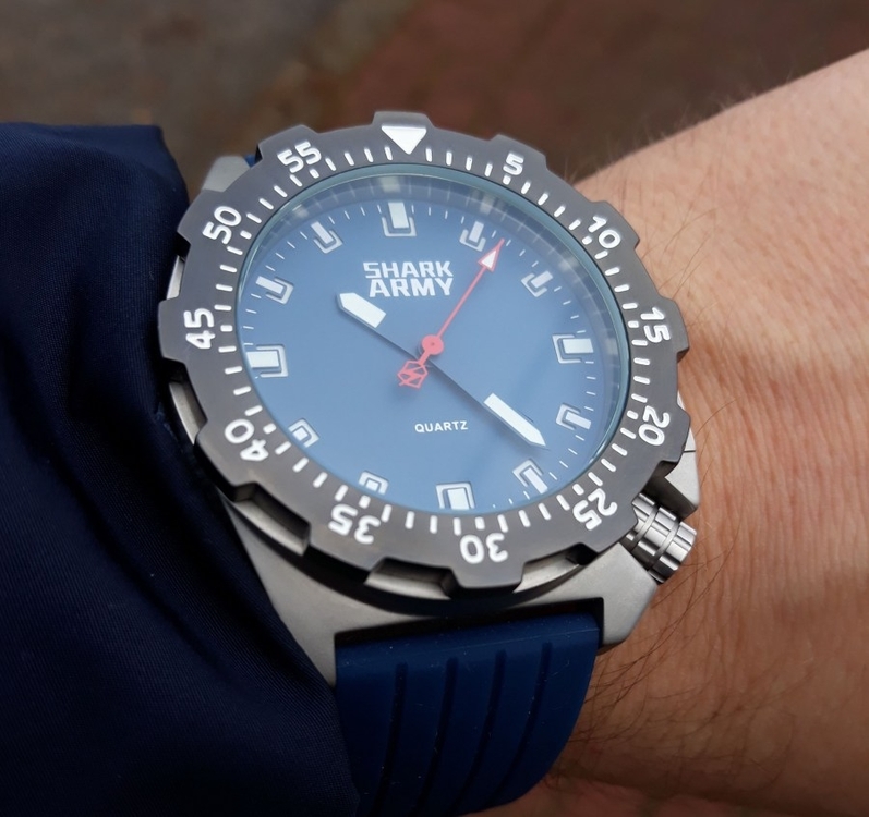 shark new.jpg