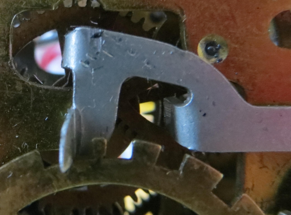 IMG_7783-crop (Copy).JPG