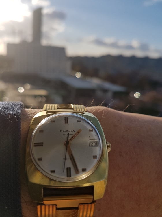 wostok20201123_132808 (2).jpg