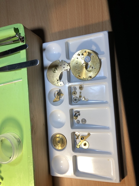 brighton5 po umyciu.jpg