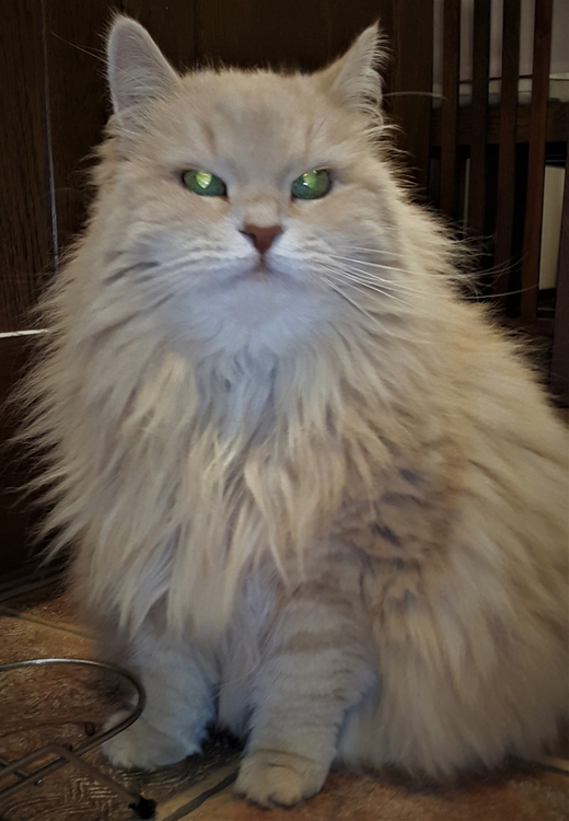 20201107_142754 (2).jpg