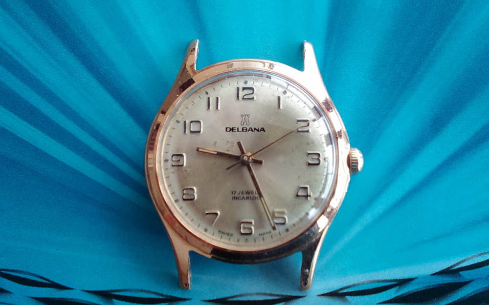 Del_fhf_ szlif słoneczny_01.jpg