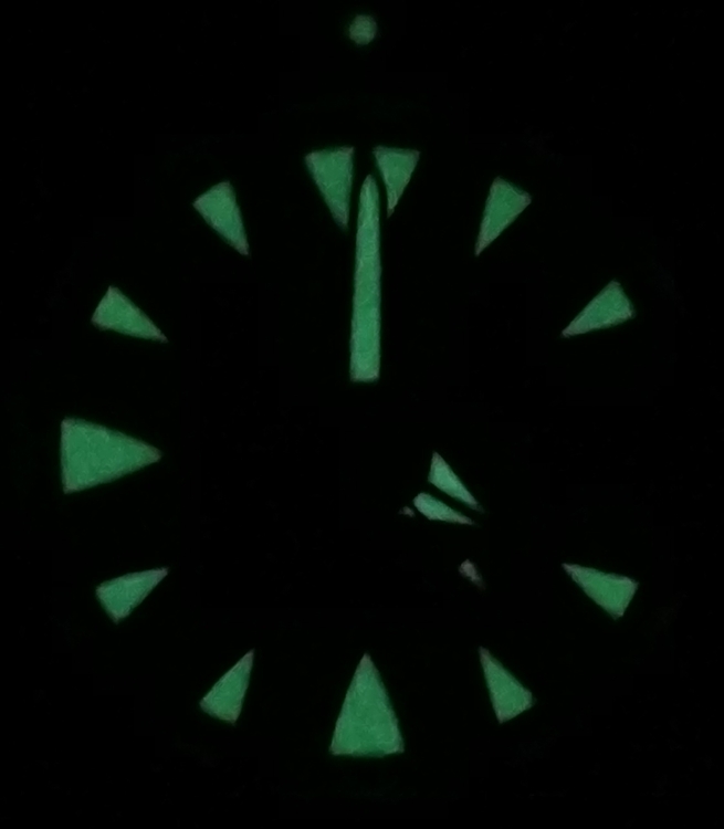 IMG_20201202_160029.jpg