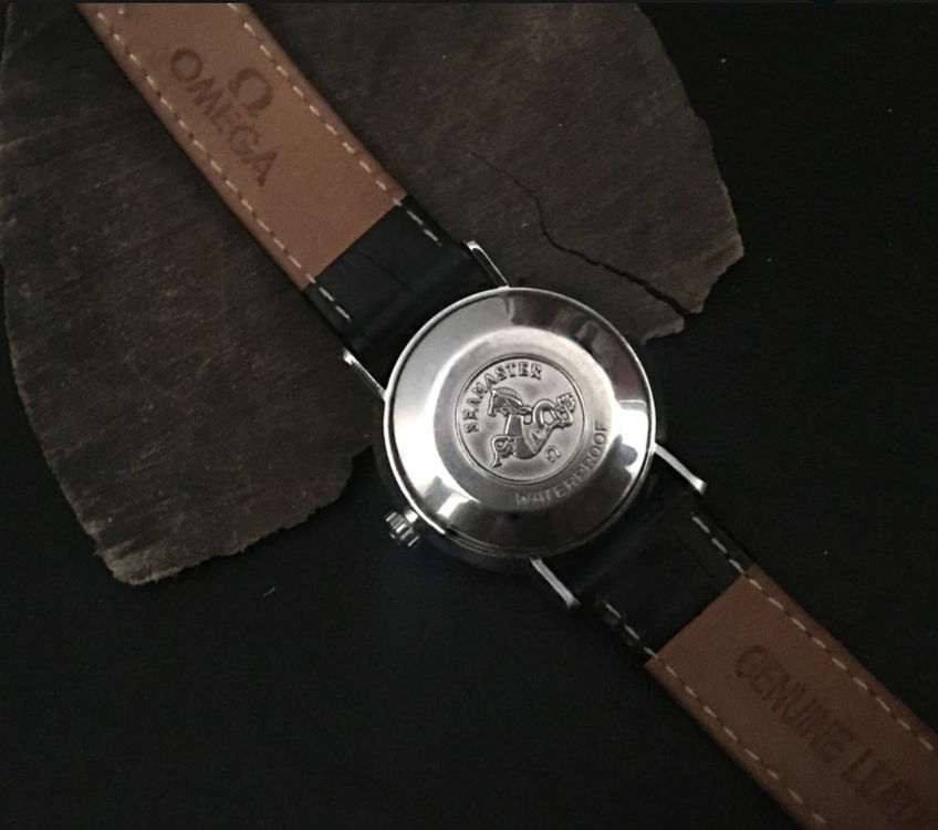 Zrzut ekranu 2021-01-12 203755.jpg