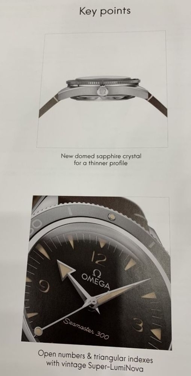 2021 seamaster 2.jpg