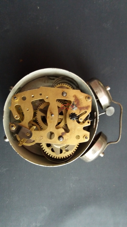 20210119_132124 — kopia.jpg