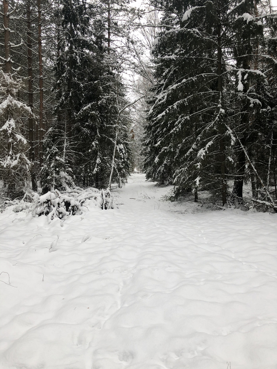 E2848585-A9D2-4B74-A90F-74525DF32A97.jpeg