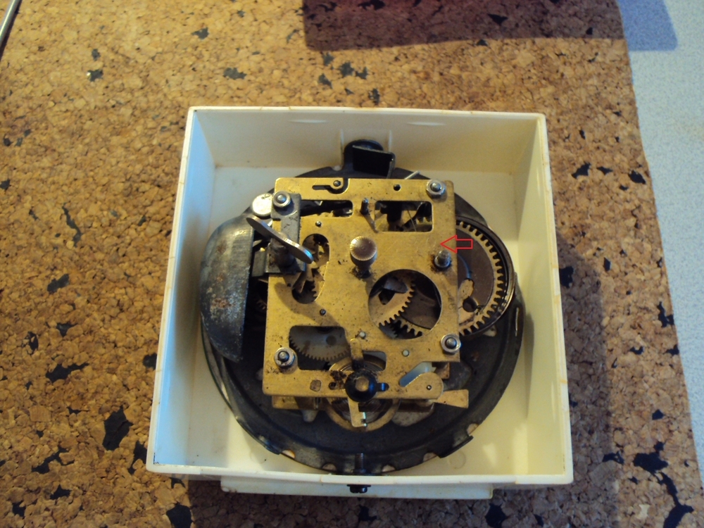 DSC05419 — kopia.JPG