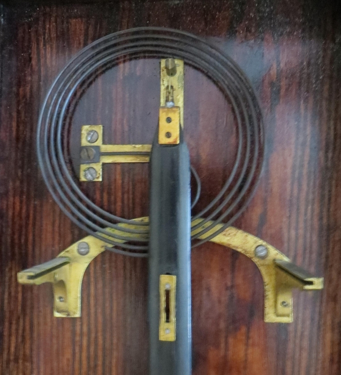 IMG_7944-crop (Copy).JPG