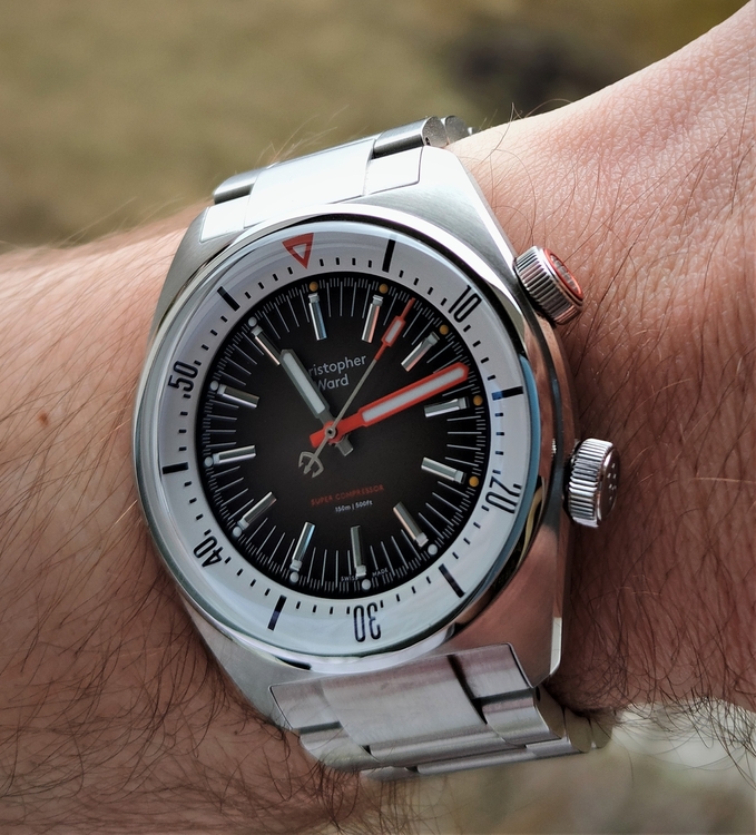 IMG20210323111307 (2).jpg