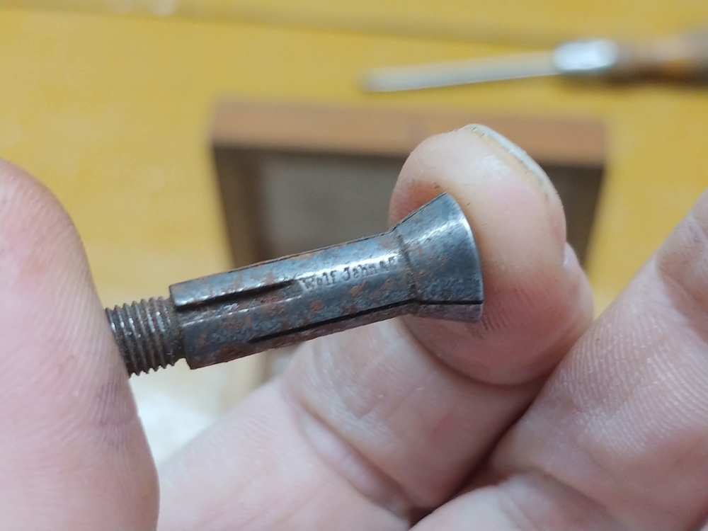 trzpien.thumb.jpg.5cd512f42b506994d6ad38ec56e178d7.jpg