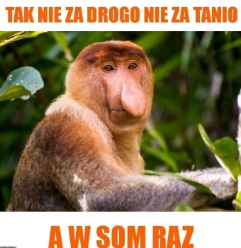 tak-nie-za-drogo-nie-za-tanio_2019-06-26_20-09-12.jpg.1133b74775d0b737e5cbef7a08c1ec0d.jpg