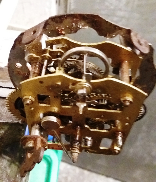 20210521_192445 — kopia.jpg