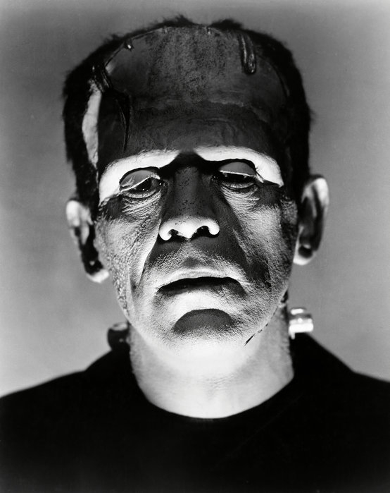 boris-karloff-in-the-bride-of-frankenstein-3.jpg.cd091f05f339fbb85919428201a536f1.jpg