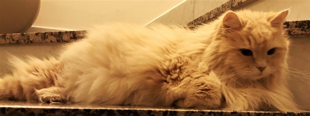 20201218_180450 (3).jpg