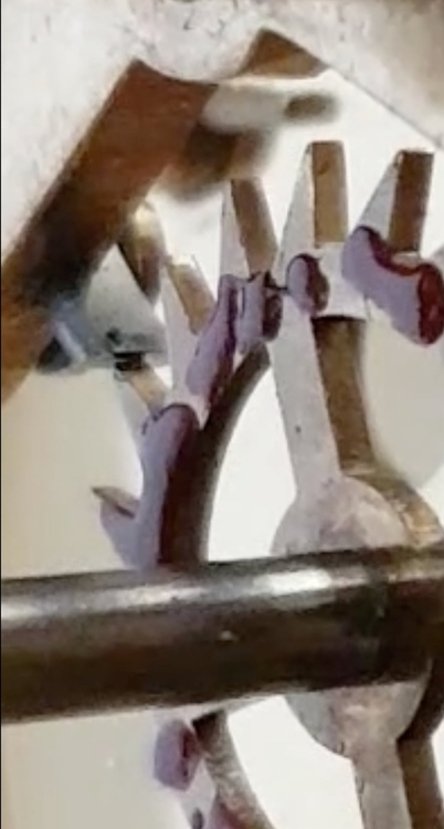 Zrzut ekranu 2021-06-4 o 12.10.30.jpg