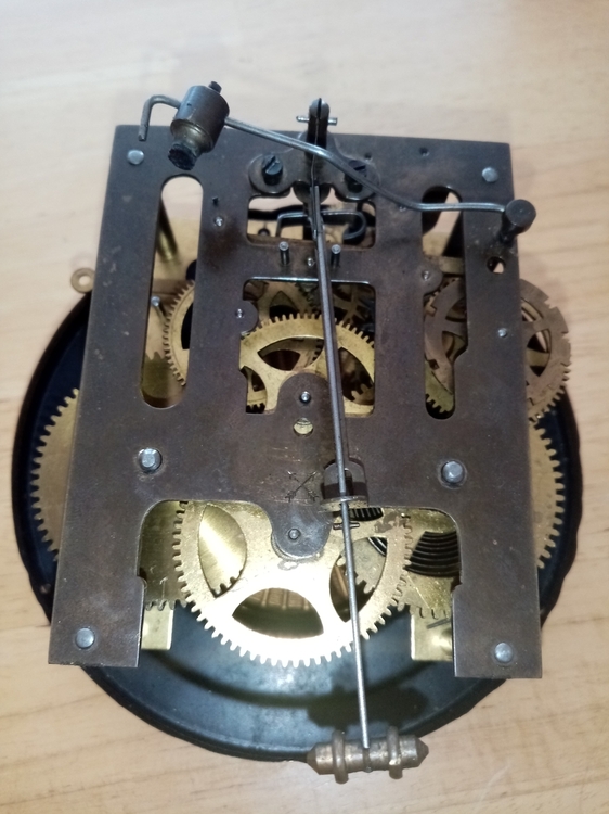 IMG_20210618_101419 (1).jpg