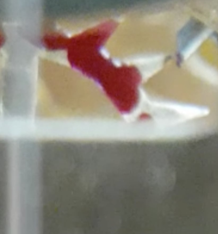 Zrzut ekranu 2021-06-4 o 12.12.07.jpg