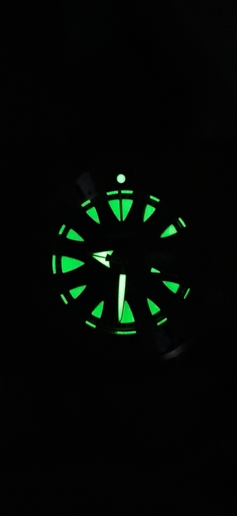 20210713_213121.jpg