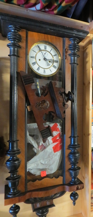 IMG_8241-crop (Copy).JPG