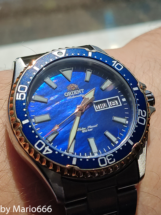 Orient Kamasu LE (1 of 1).jpg