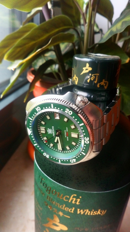 DSC_2255.JPG
